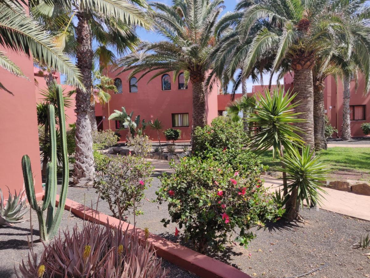 Ferienwohnung Oasis Tamarindo Poppins Pool E Terrace Corralejo Exterior foto