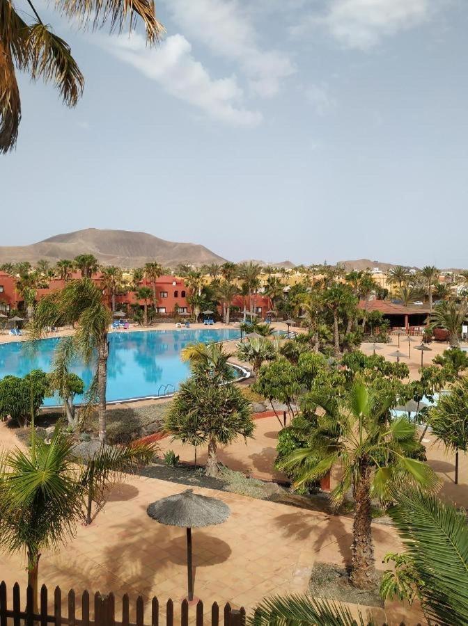 Ferienwohnung Oasis Tamarindo Poppins Pool E Terrace Corralejo Exterior foto